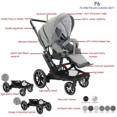 F6 Stroller