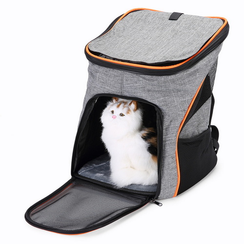 SPB-016 Car Cat BackPack