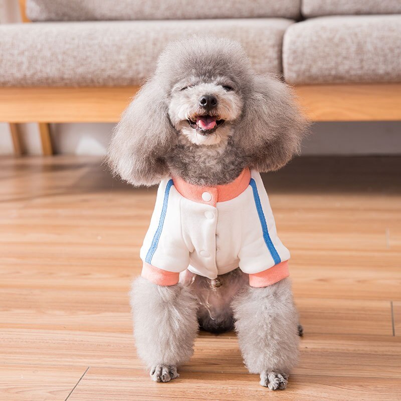 Pet Winter Cloth for Dog Cat Dogs Clothes Medium Suspender Trousers Dog Puppy Clothing Spring Autumn Fashion Pet Clothes XS-XXL