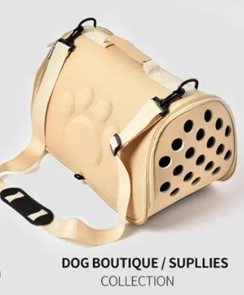 Pet supplies space dog bag EVA pet out bag portable diagonal breathable pet bag