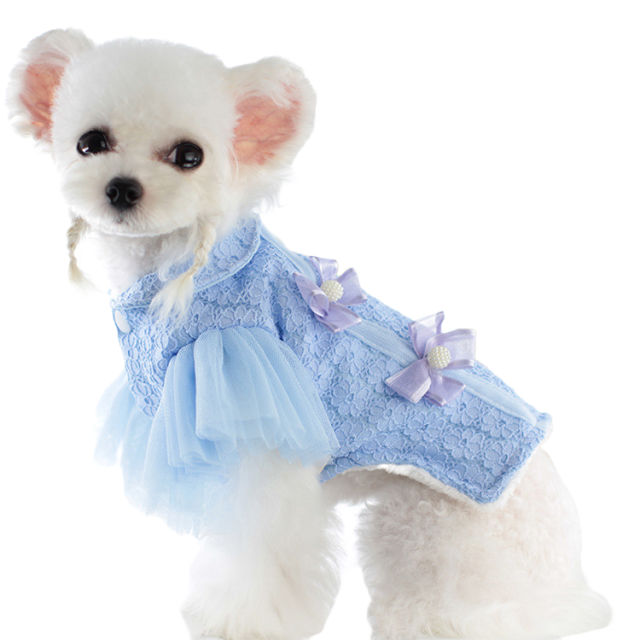 Pet Clothes Autumn And Winter Dog Clothes Cat Clothes Lace Cheongsam Cotton Padded Dog Clothes