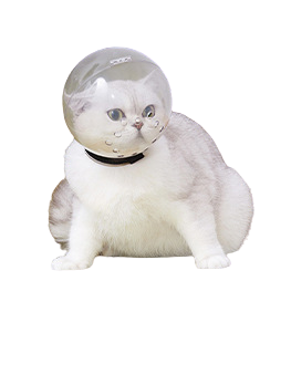 Pet Headgear Breathable Cat Space Headgear Dog Injection Anti Bite Toast Headgear