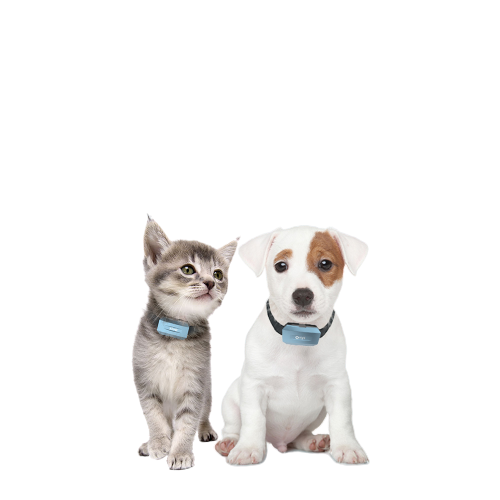 Pet Locator GPS Positioning Pet Cat Dog Collar Anti Loss 4G Anti Theft Alarm Pet GPS