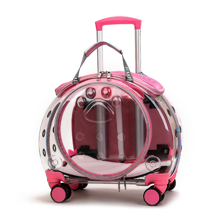 Pet Go Out Lever Box Large Transparent Pet Bag Cat Multi Function Go Out Space Capsule Backpack Air Permeability
