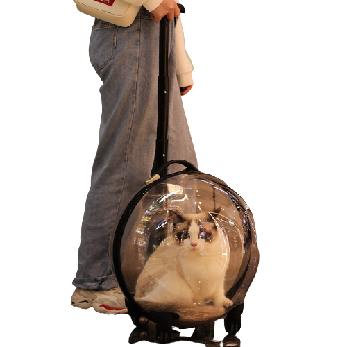 Cat Bag Out Portable Handle Box Space Capsule Cat Backpack Out Bag Large Capacity Transparent Pet Supplies Artifact
