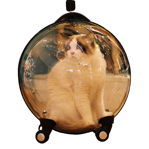 Cat Bag Out Portable Handle Box Space Capsule Cat Backpack Out Bag Large Capacity Transparent Pet Supplies Artifact