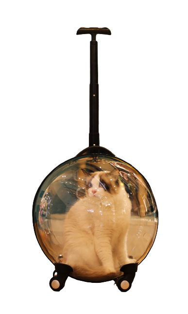 Cat Bag Out Portable Handle Box Space Capsule Cat Backpack Out Bag Large Capacity Transparent Pet Supplies Artifact