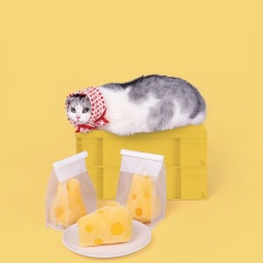 Cheese Cat Toy Cheese Cat Fun Cat Mint Teeth Resistant to Scratches