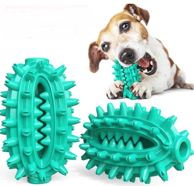New popular Amazon dog toy cactus dog toothbrush molar stick