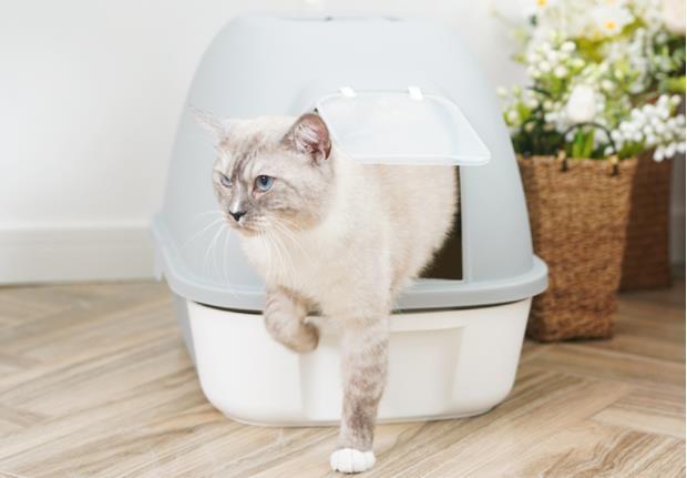 Cat nest drawer type pet supplies extra large anti splash stinky cat excrement basin sand basin cat toilet cat litter Basin