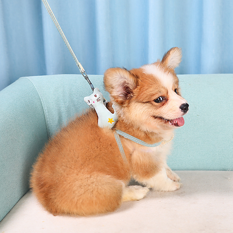 Dog leash Dog leash Corgi large medium small dog leash dog chain