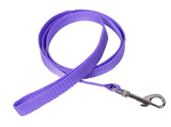 Manufacturer wholesale pet dog traction rope multicolor colorful nylon traction belt out dog traction rope