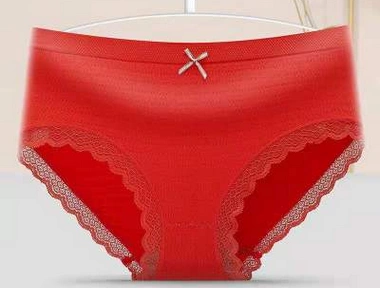 3 Packs Women Sexy Cotton Underwear Lace Briefs