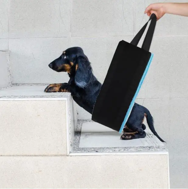 Amazon new pet products dog auxiliary belt pet booster belt postoperative recovery elderly dog walking aid belt