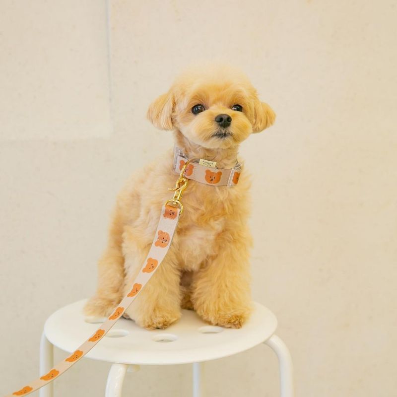 New dog pet bear cute leash soft and durable pick up bag leash