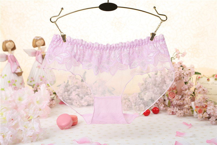 erotic panties women's lace sexy transparent seduction panties