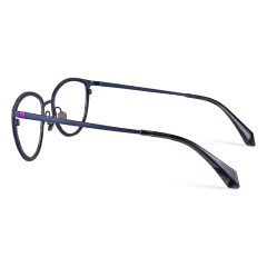 Types Of Glasses , Eyewear, Eyeglasses And Reading Glasses