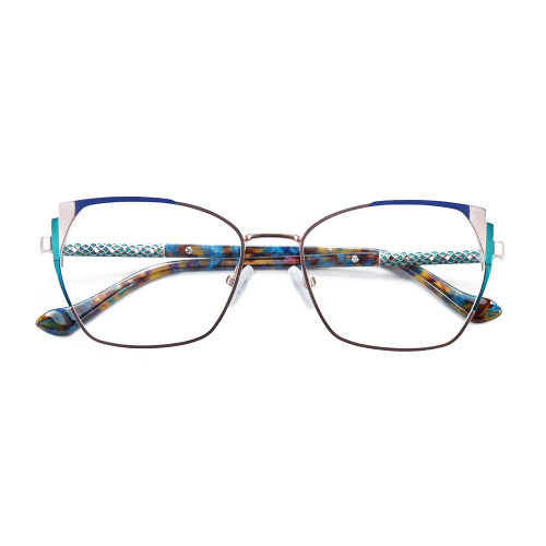 Retro Vintage Eyewear Frames – High-Quality Titanium