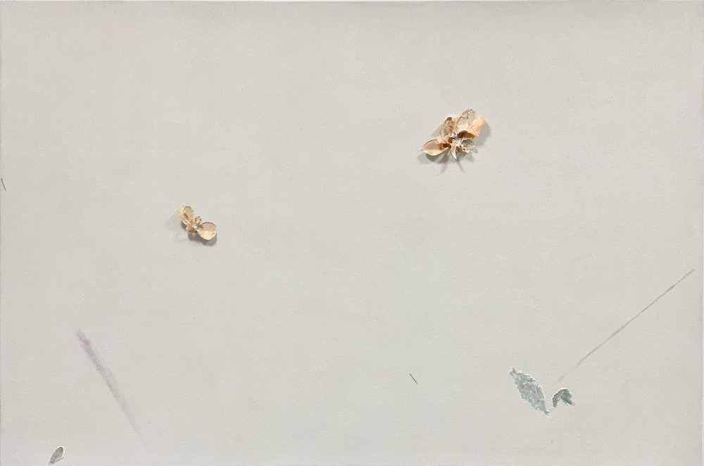 自然界 02 / In Nature_02