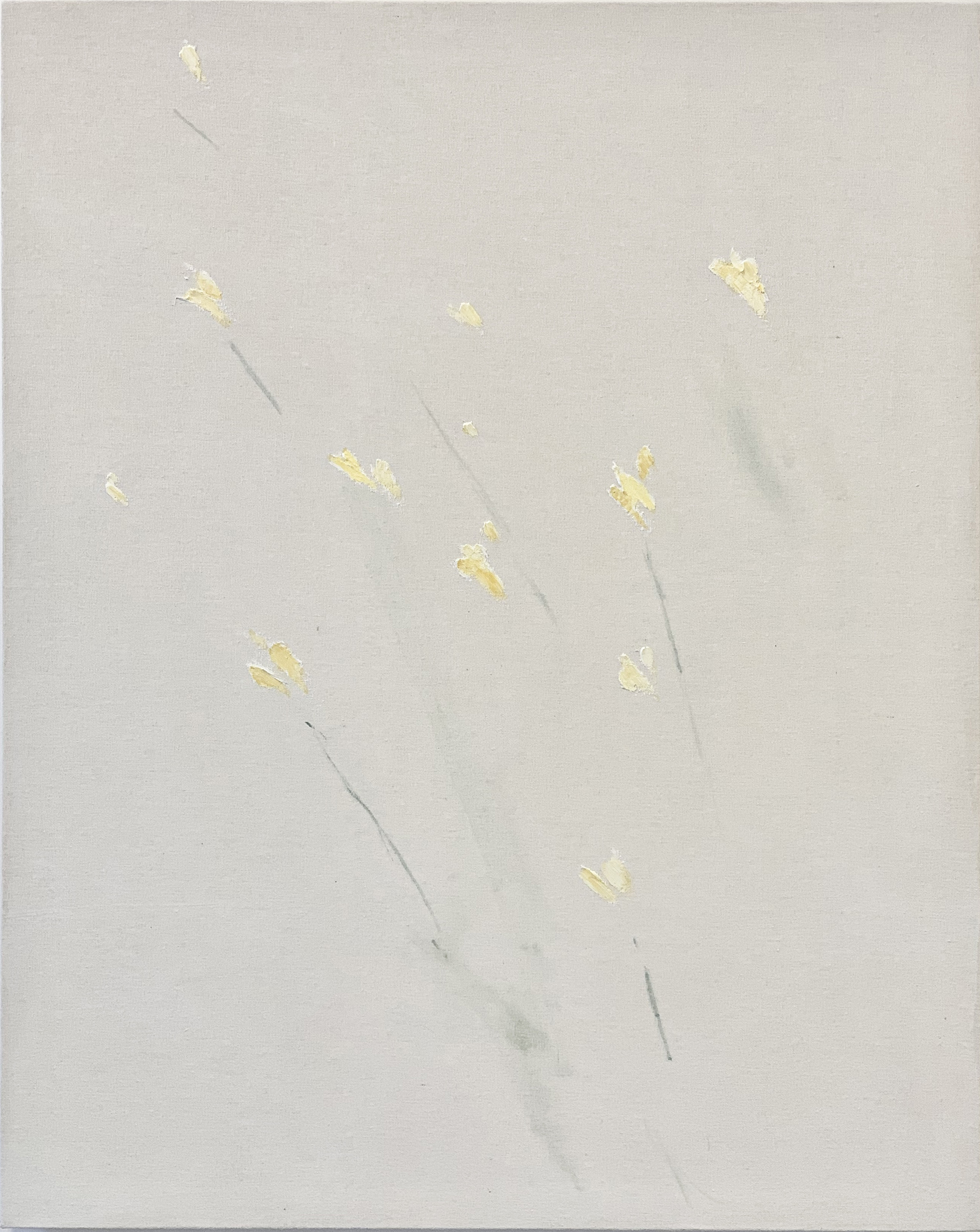 花 / Flowers