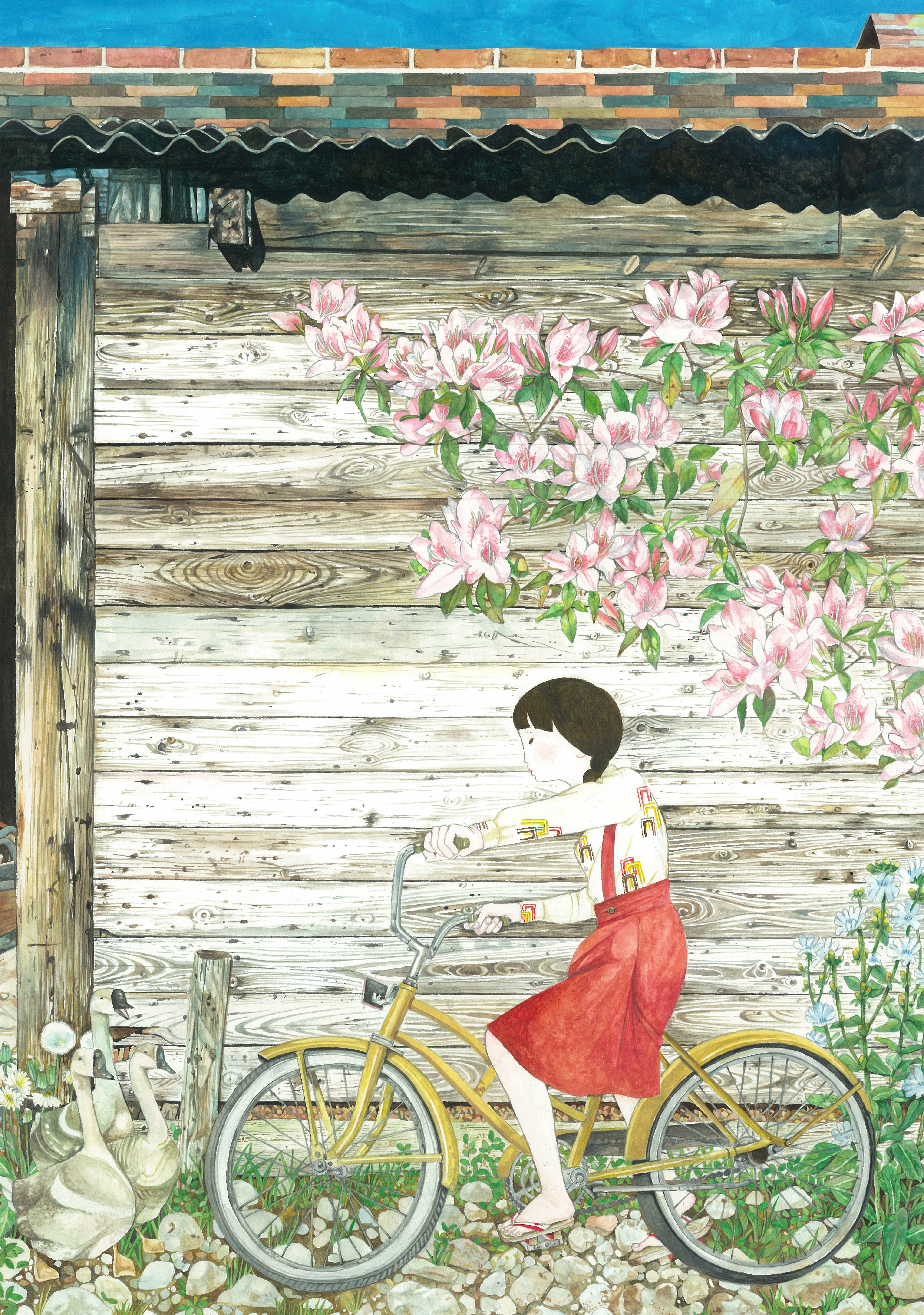 自行車 / Bike