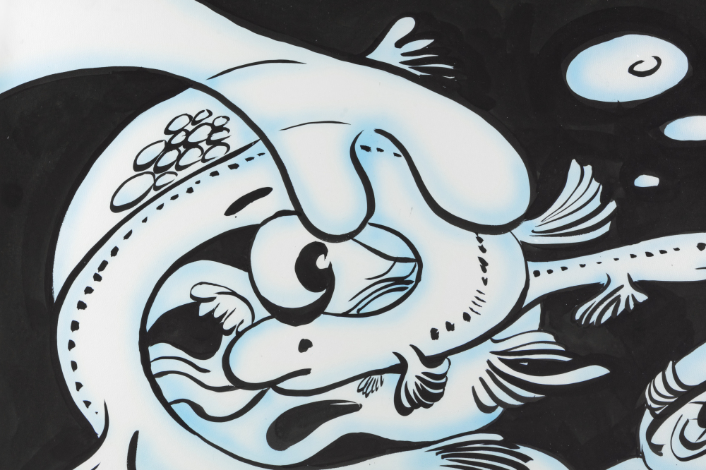 語言玩具-鰻魚直播 / Lingua Playful-Eel Live Stream