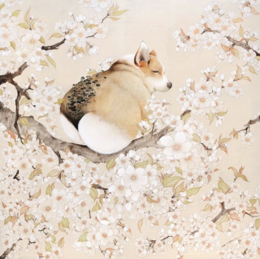 梨花開，你可好！ / Pear-flower blossom, how have you been?