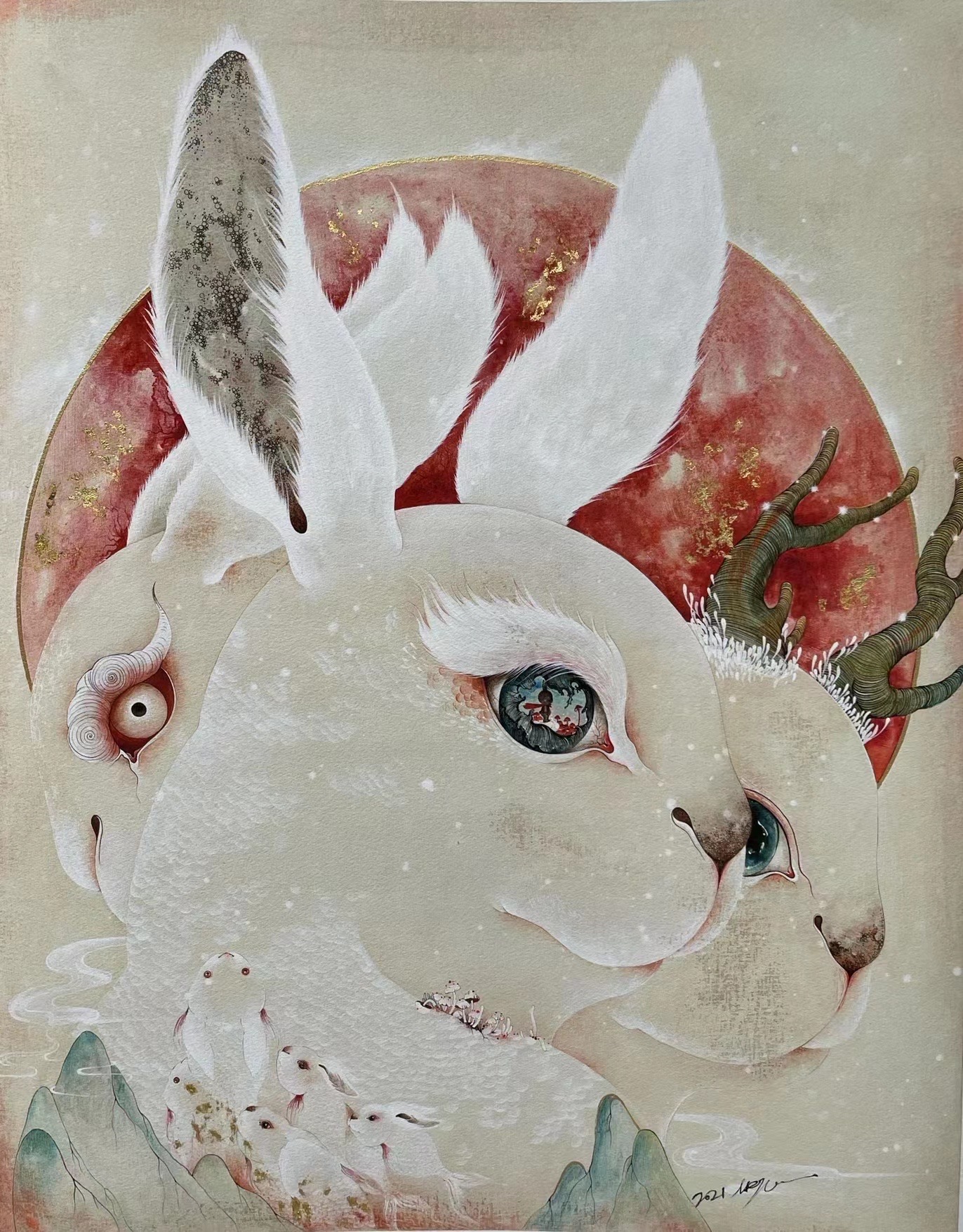 兔 / Rabbit