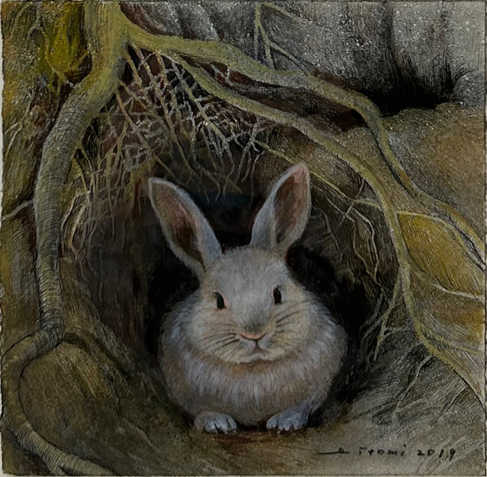 兔子 / Rabbit