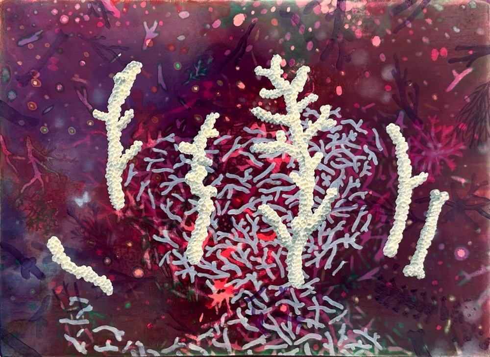 清澈透亮的海 (うすはりの海) / Crystal Clear Sea