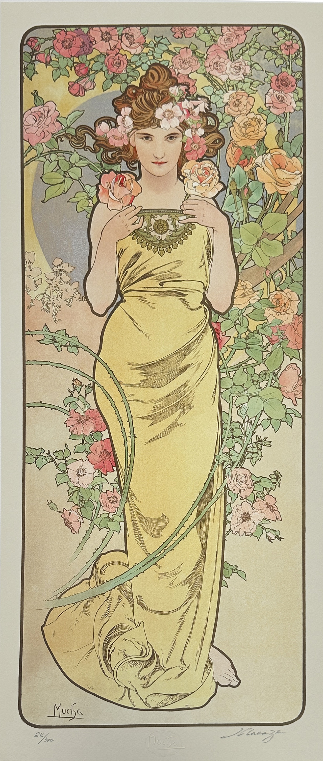 玫瑰 Rose