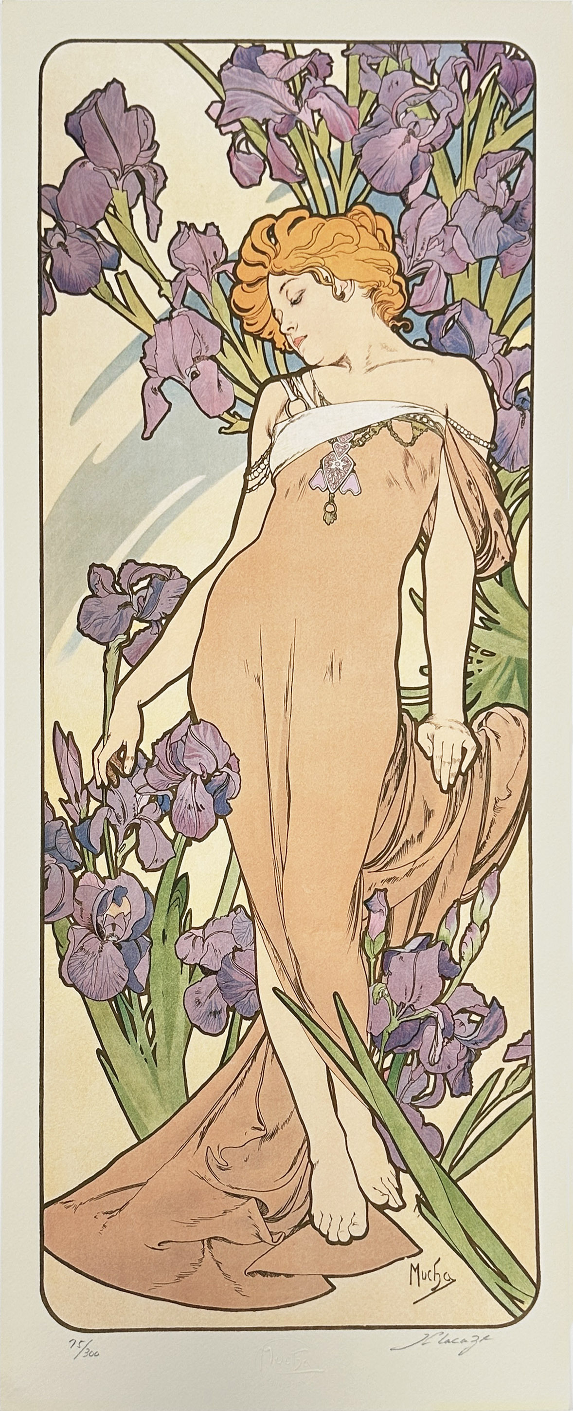 鳶尾花 Iris