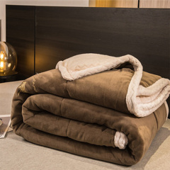 Milk fleece solid blanket double-sided fleece thickened warm blanket comforter Single pair skin friendly nap blanket