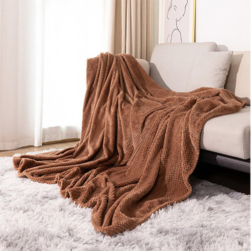 Thickened solid color pineapple flannel blanket coral velvet sofa blanket air conditioning blanket nap blanket