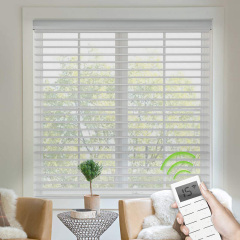 Motorized Shangri-La Blinds