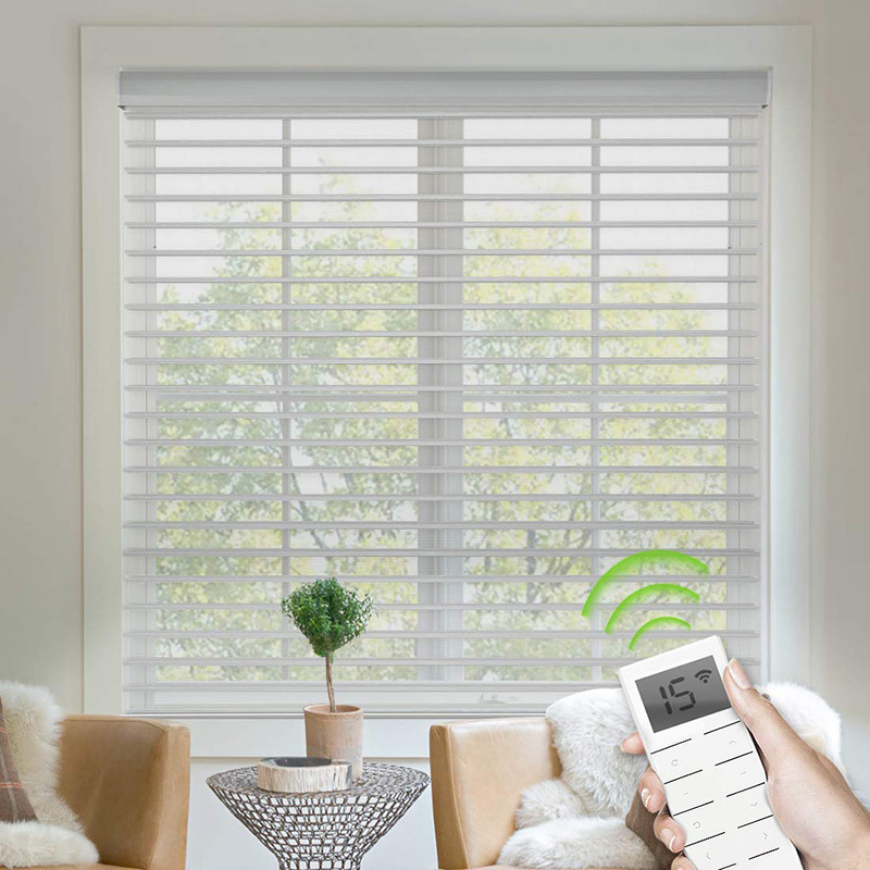Motorized Shangri-La Blinds