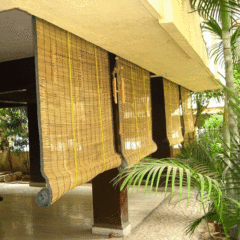 Bamboo Roller Blinds