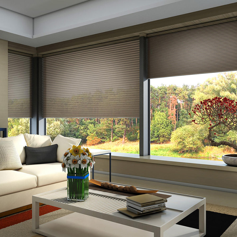 Motorized Honeycomb Blinds