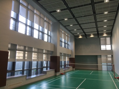 Shanghai Nuclear Engineering Institute