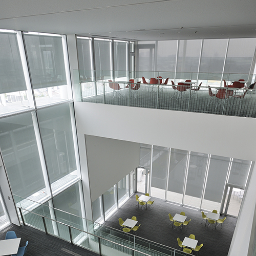 Motorized Roller Blinds