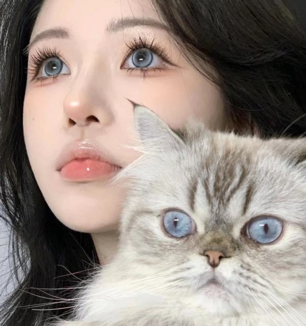 韓國年抛 冰點海鹽 小貓咪同款美瞳 平鋪14.2中直徑