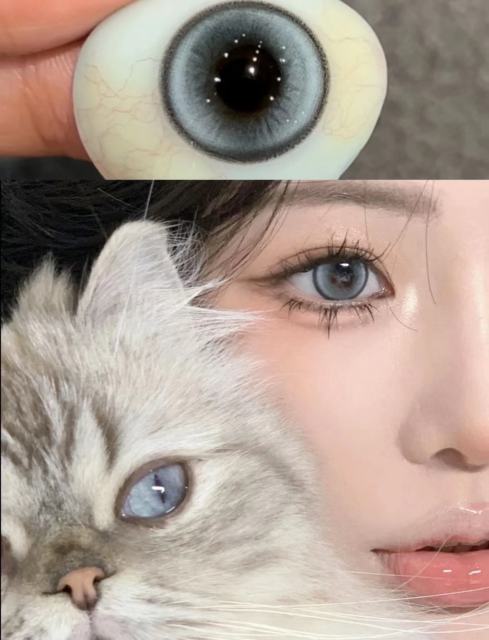 韓國年抛 冰點海鹽 小貓咪同款美瞳 平鋪14.2中直徑