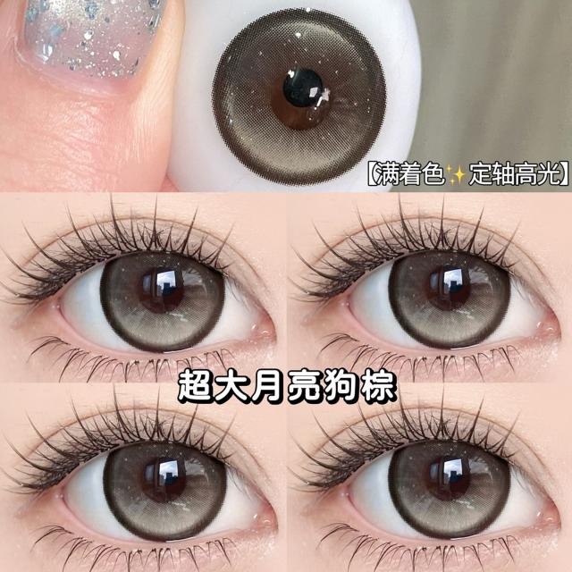 【定軸高光】滿著色日拋美瞳 防UV平鋪14.5大直徑 日拋十片裝 超大月亮狗棕