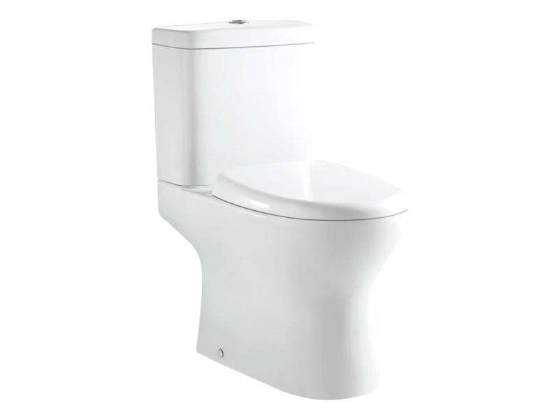 The Gap Rimless Close Coupled Toilet + Compact Soft Close Seat