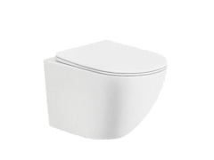 Euro Ceramic Rimless Wall Hung Toilet with Soft Close Seat