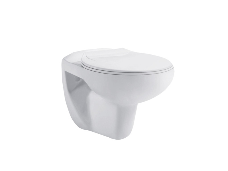 Euro Ceramic Rimless Wall Hung Toilet with Standard Seat