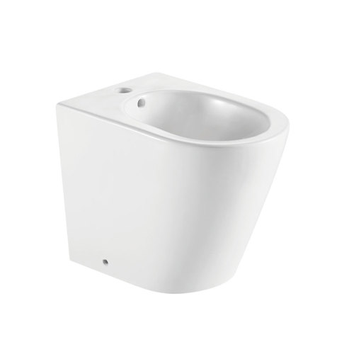Luxury Ceramic Free standing Bidet Set