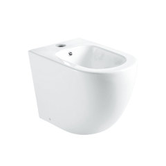 Freestanding Toilet Bowl with Bidet