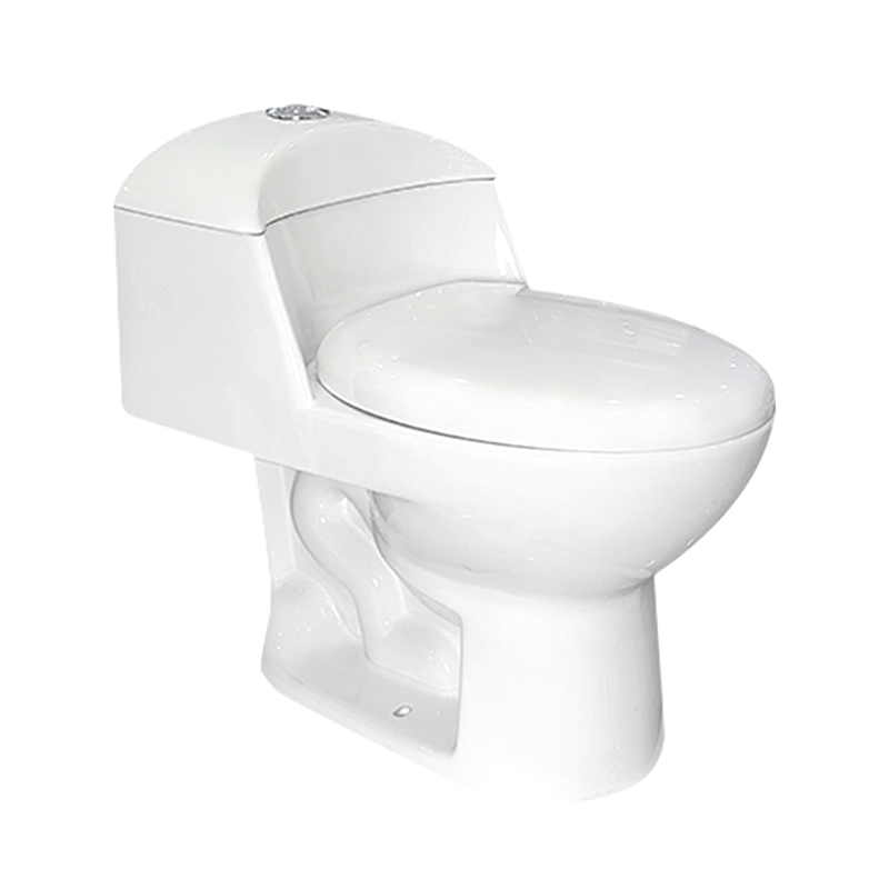 Bano Modernos Custom One Piece Toilet with Soft Close Seat