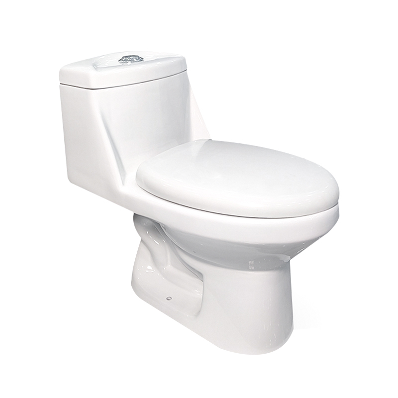 Luxury Ceramic One Piece Toilet with Soft Close Seat